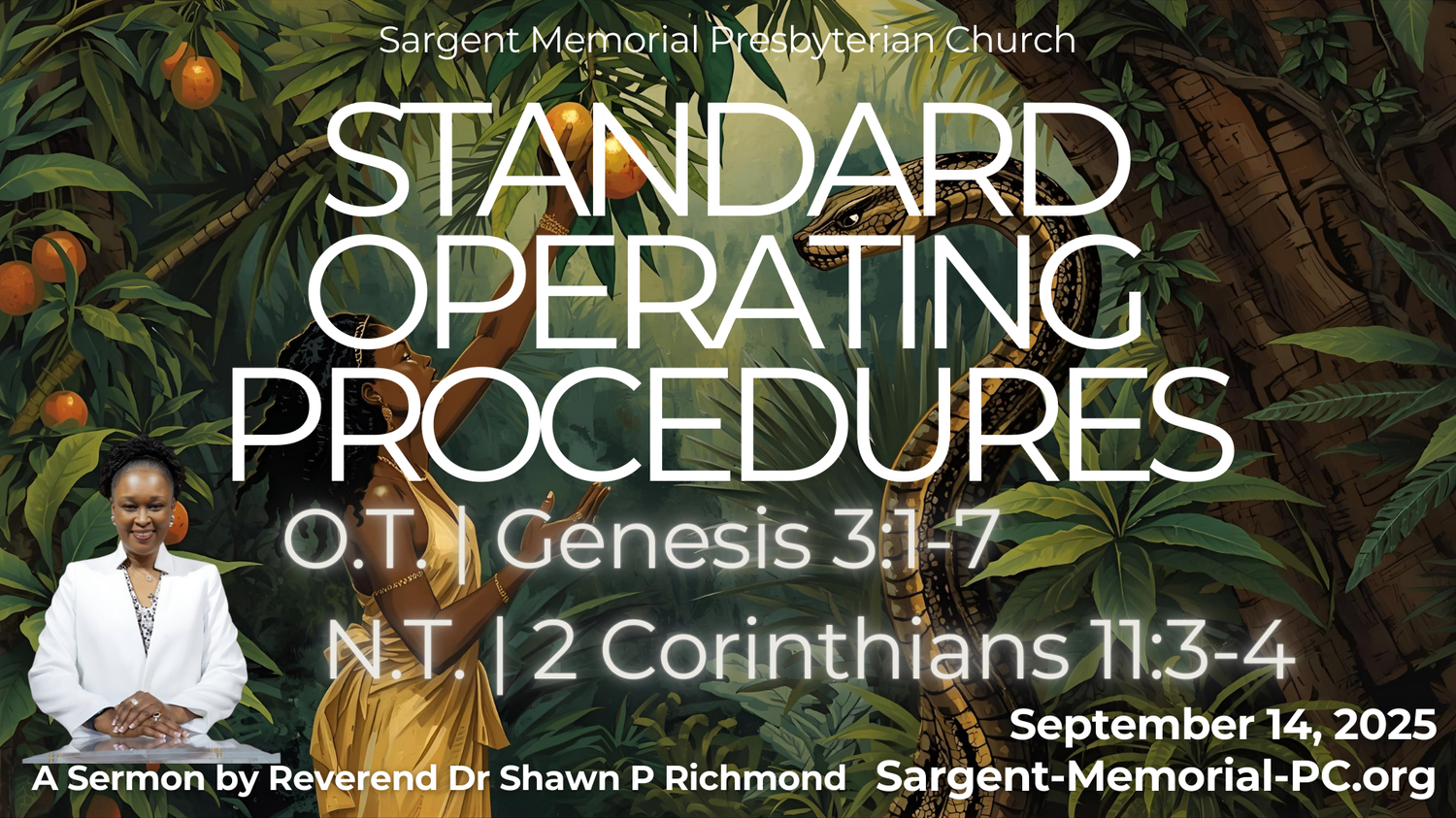 All In! Revival: Part 2 - Standard Operating Procedures